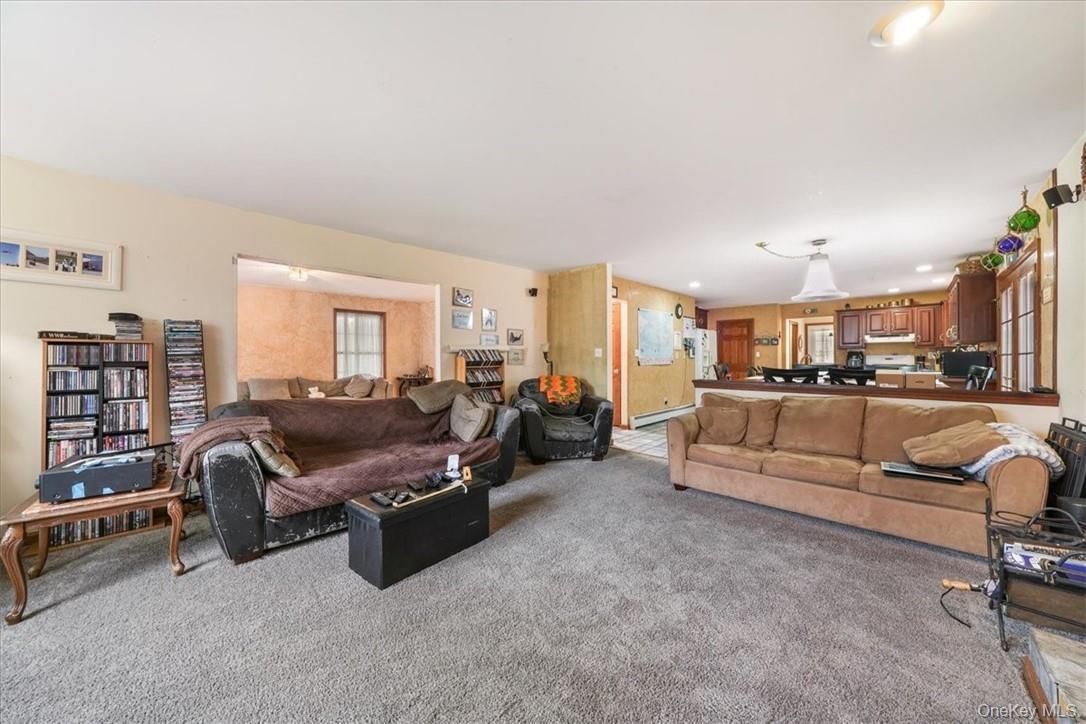 Single Family James Orange County, NY 12771, MLS-915546-20