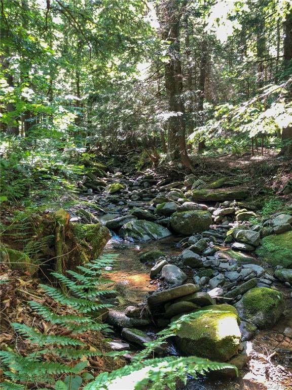 Single Family Shandelee  Sullivan County, NY 12758, MLS-915581-7