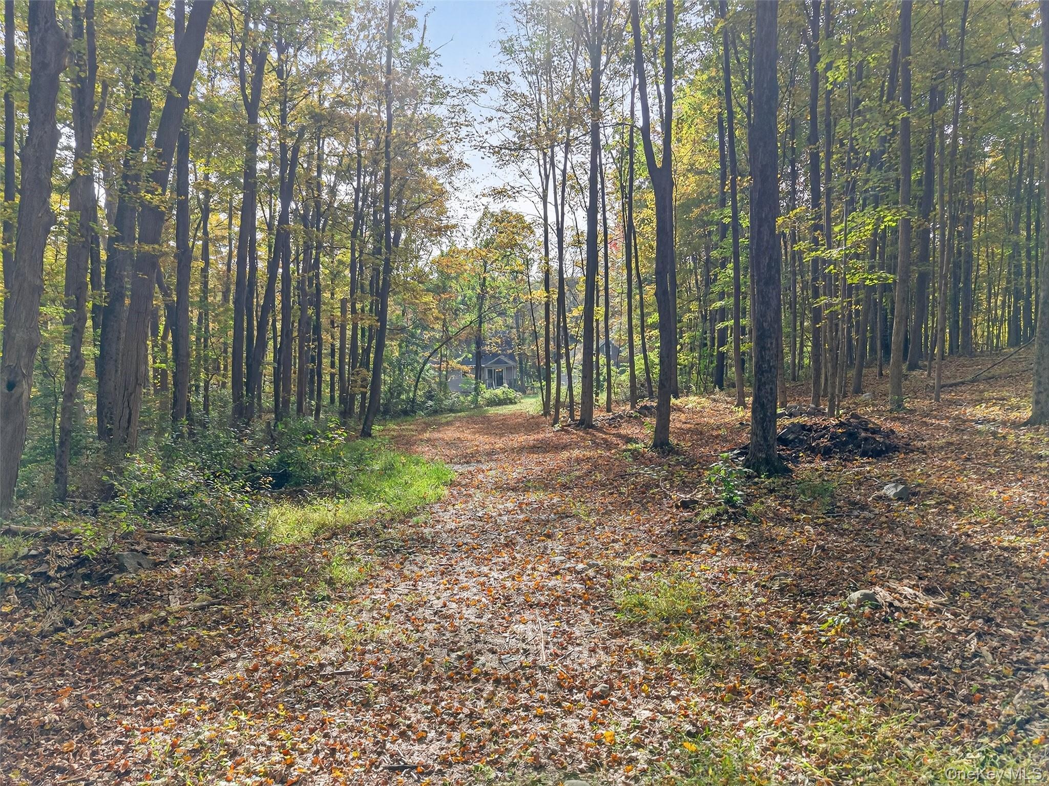 Single Family Nelson Orange County, NY 10950, MLS-915604-31