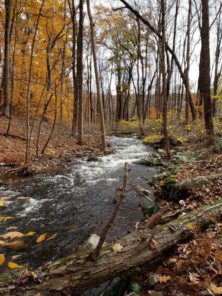 Single Family Nelson Orange County, NY 10950, MLS-915604-46