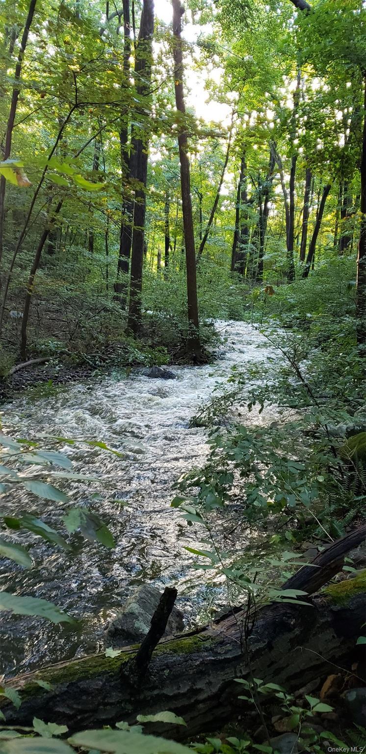 Single Family Nelson Orange County, NY 10950, MLS-915604-5