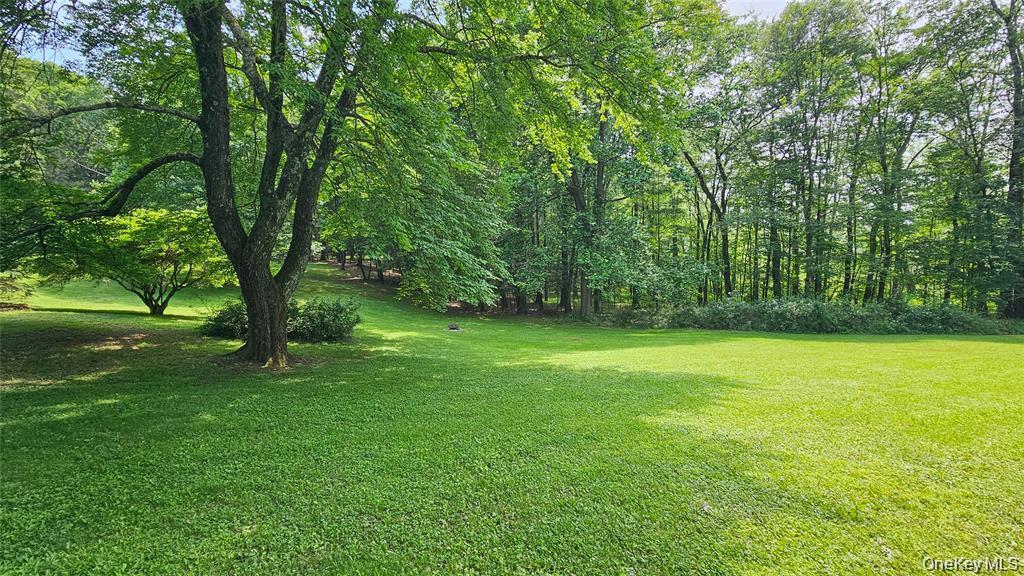 Single Family Shoddy Hollow Orange County, NY 10963, MLS-915608-27