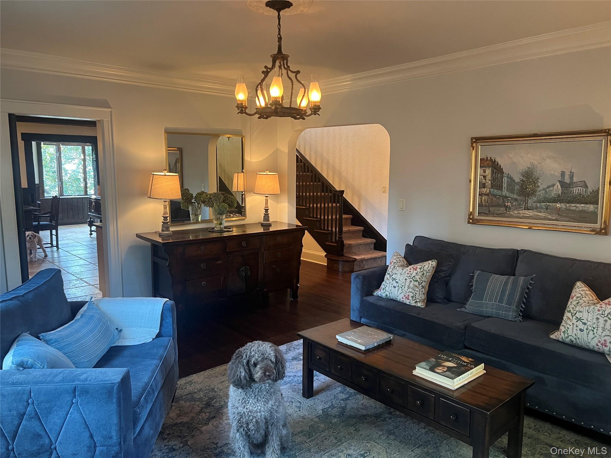 Single Family Kneeland Westchester County, NY 10705, MLS-915634-16