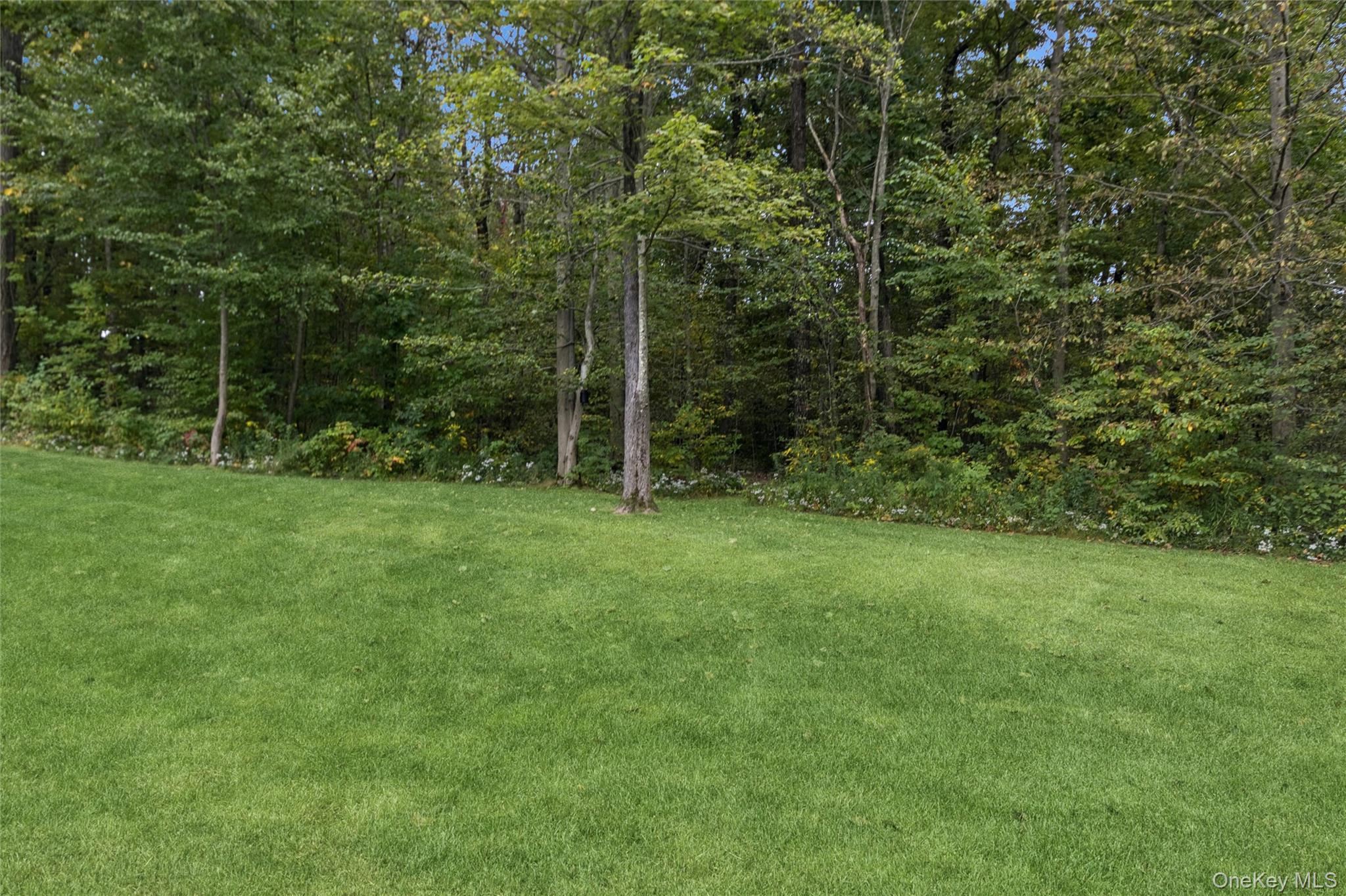 Single Family Dawson Dutchess County, NY 12603, MLS-915713-28