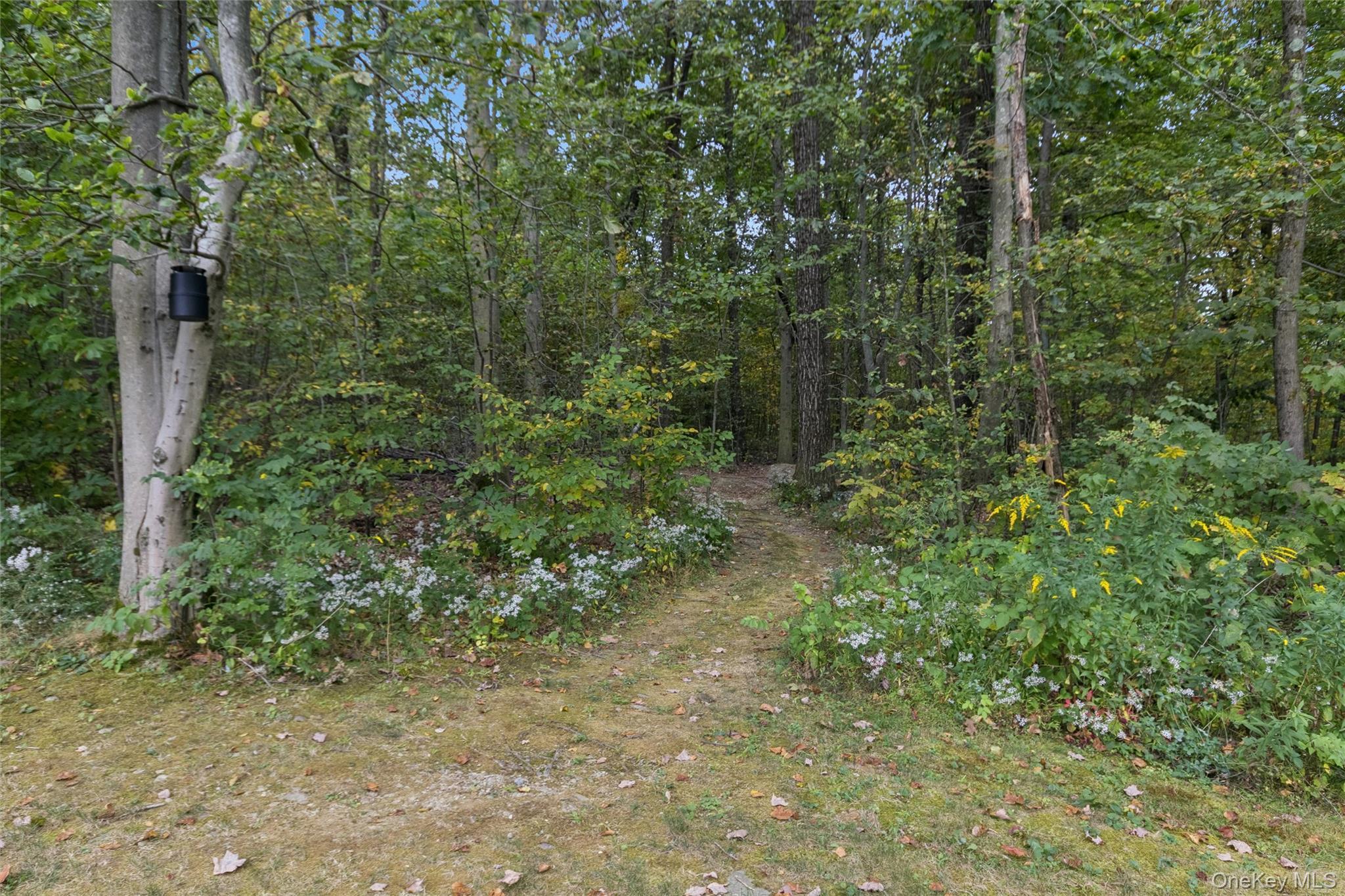 Single Family Dawson  Dutchess County, NY 12603, MLS-915713-29