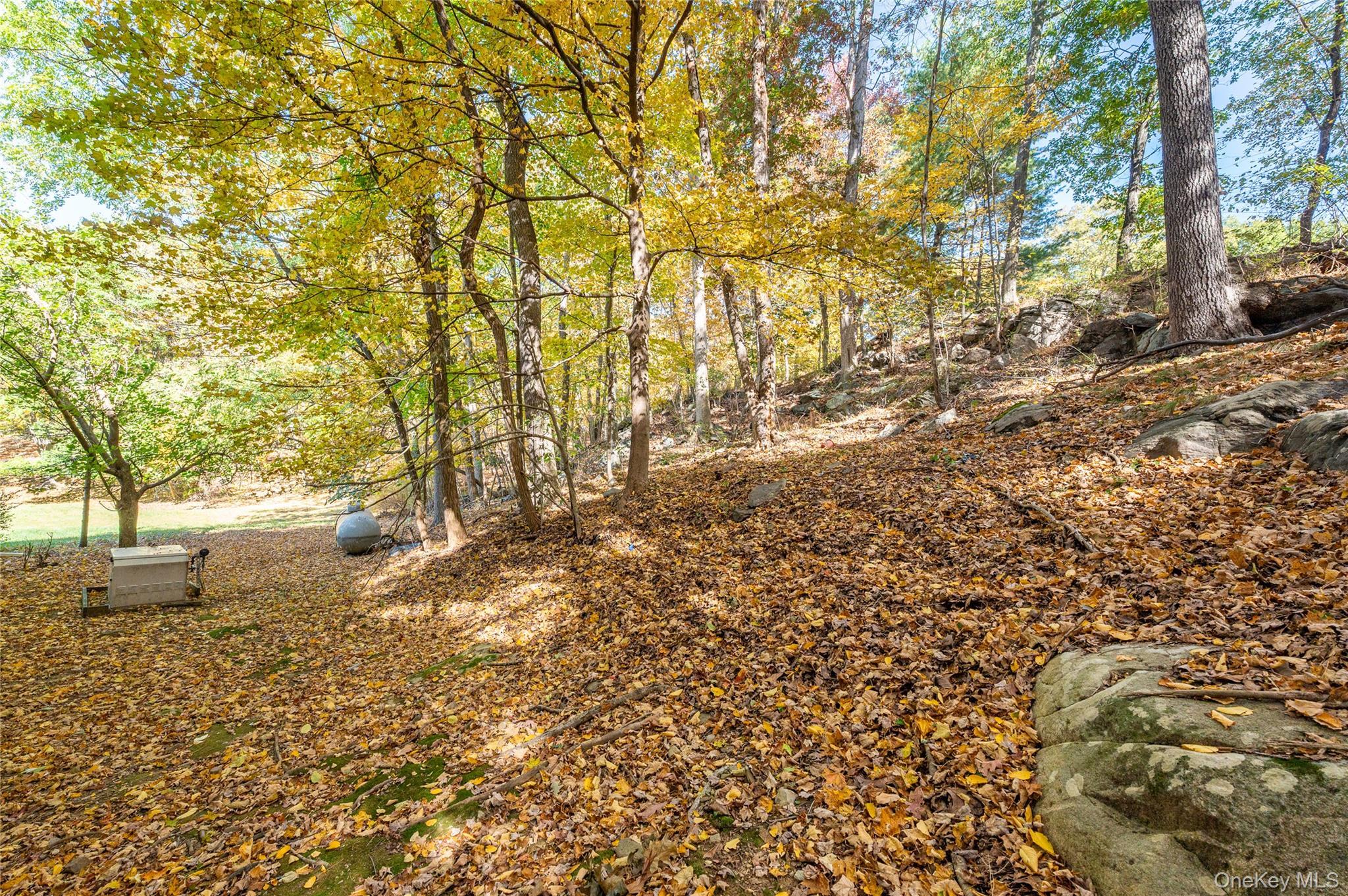 Single Family Fox Den  Westchester County, NY 10560, MLS-915721-33