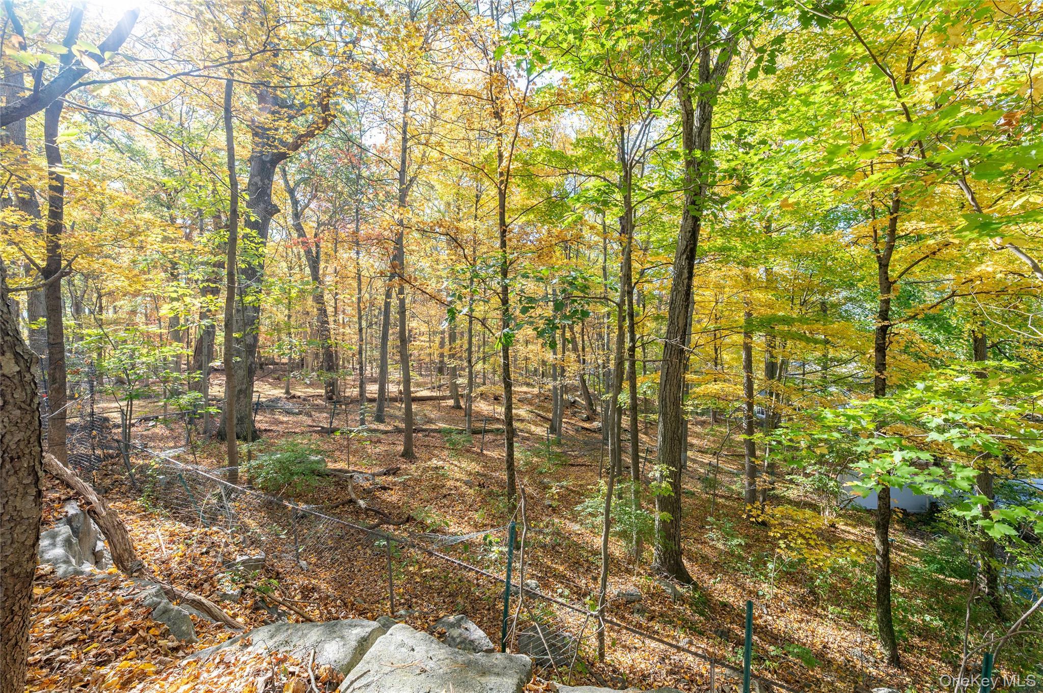 Single Family Fox Den  Westchester County, NY 10560, MLS-915721-34