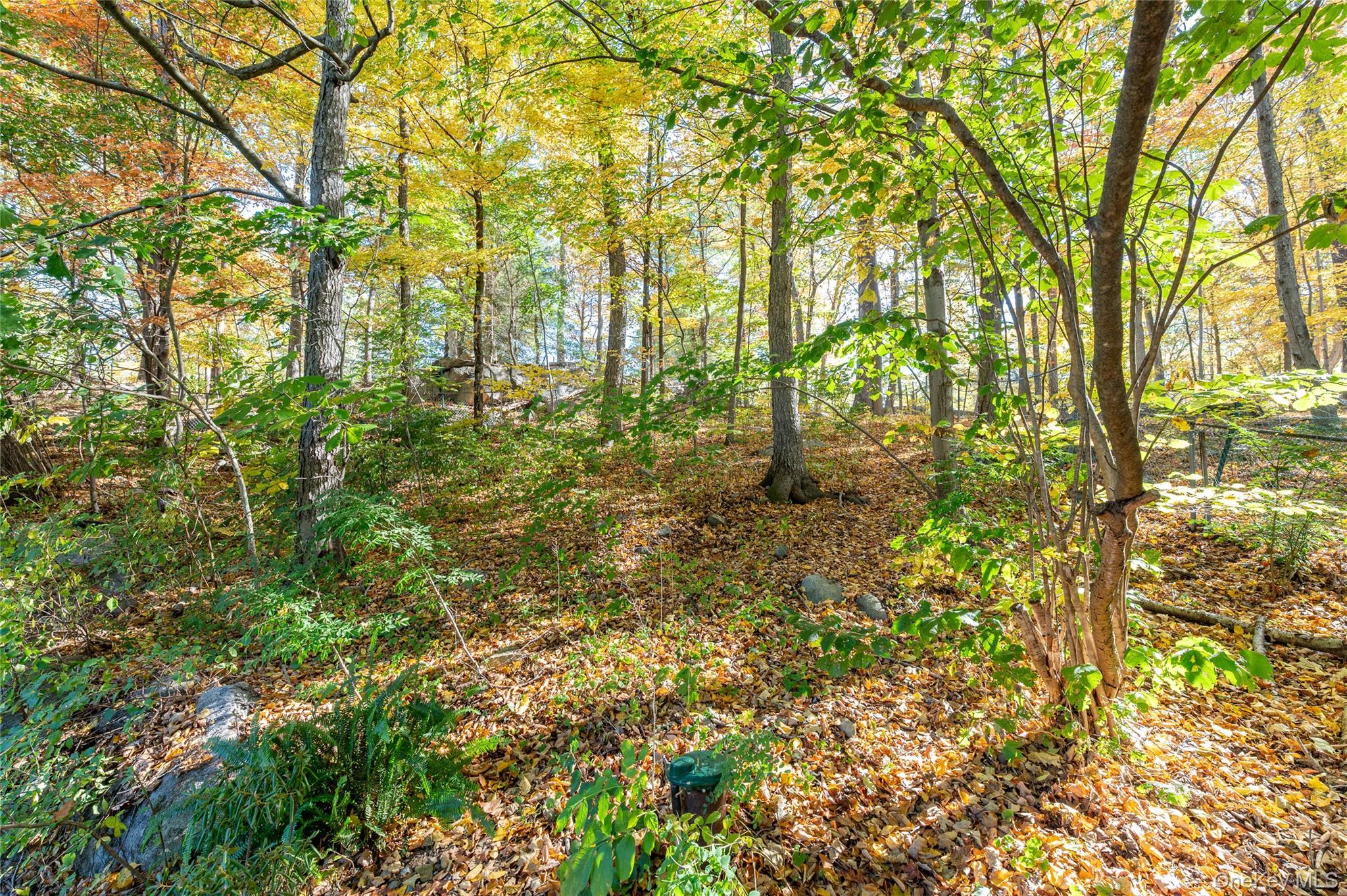 Single Family Fox Den  Westchester County, NY 10560, MLS-915721-35