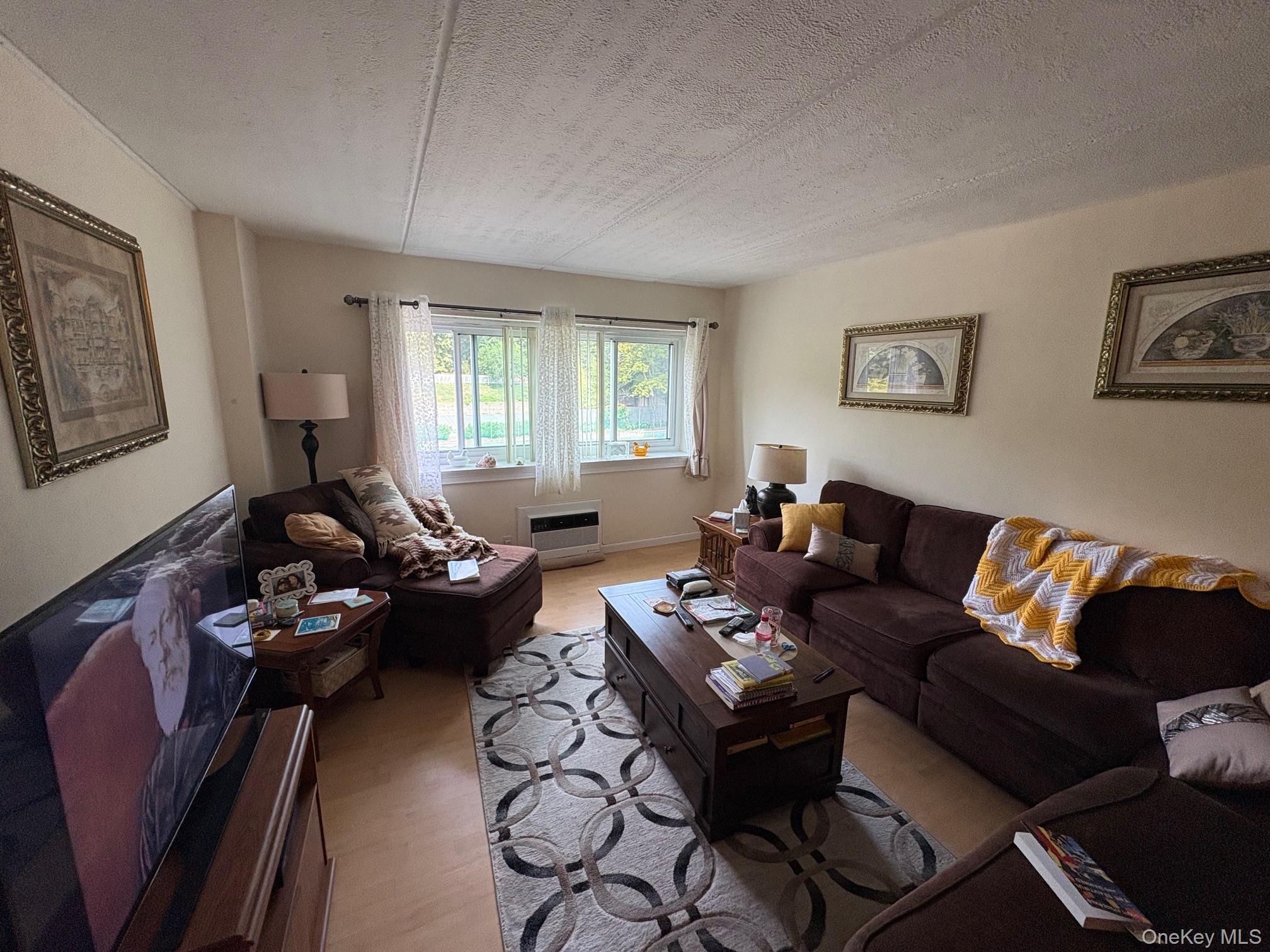 Condo Benedict  Westchester County, NY 10591, MLS-915725-2