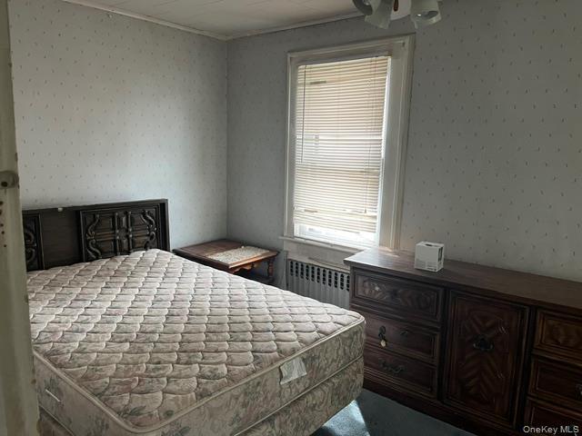 Single Family 156  Queens, NY 11355, MLS-915809-9