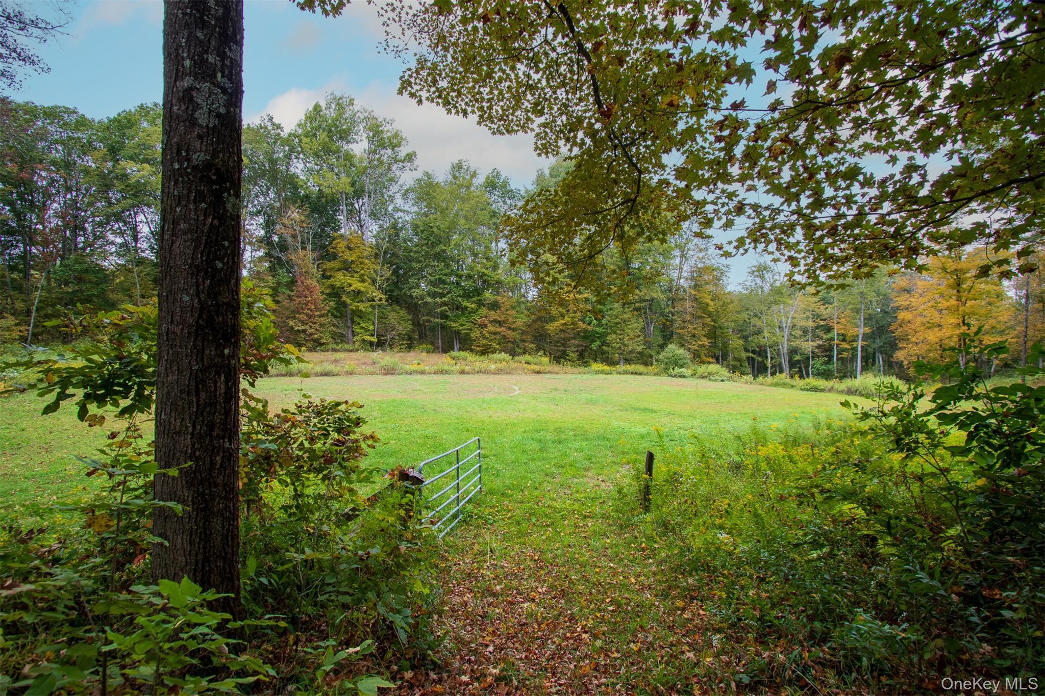 Single Family Centre Dutchess County, NY 12580, MLS-915844-33