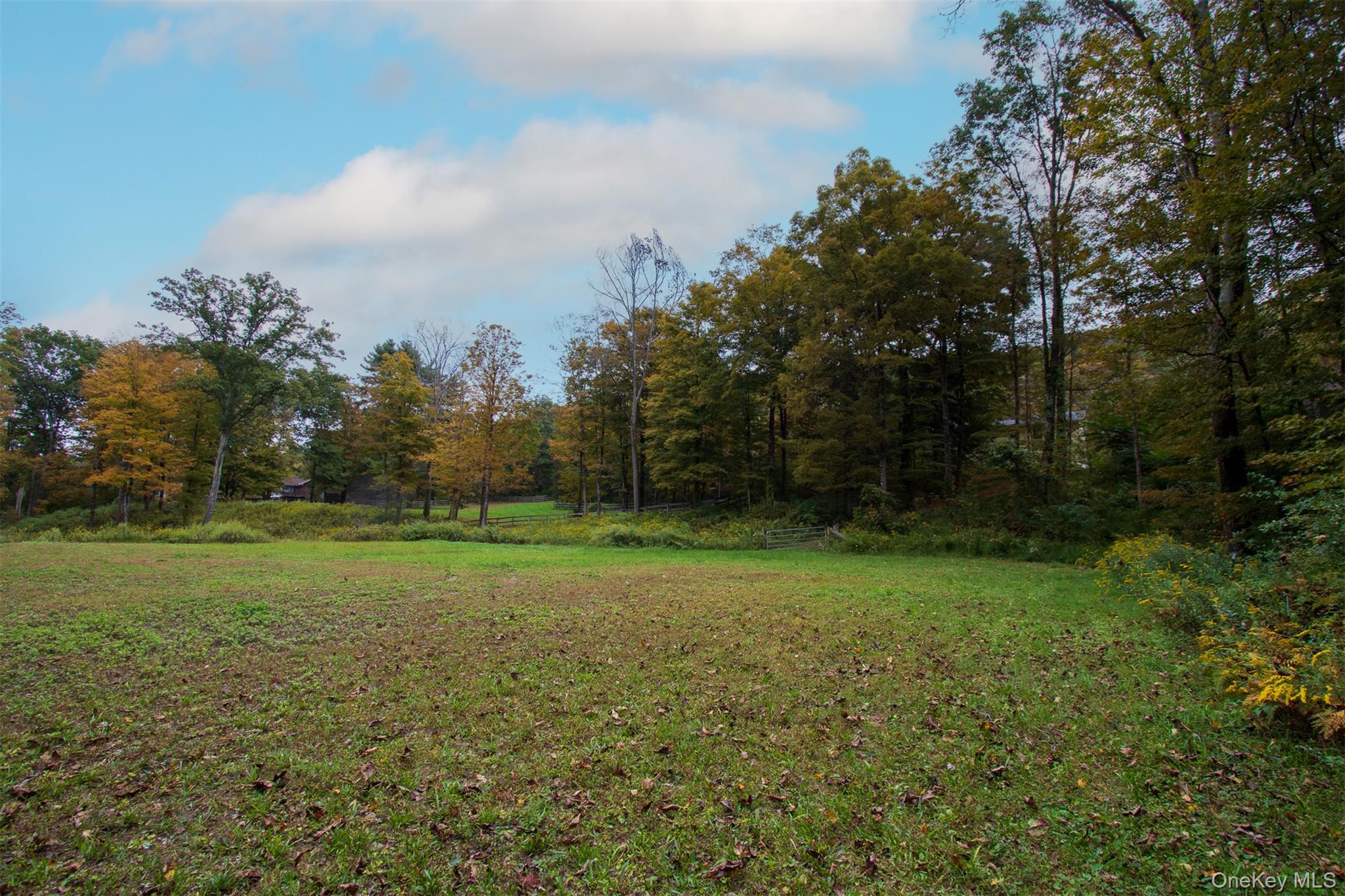 Single Family Centre Dutchess County, NY 12580, MLS-915844-34