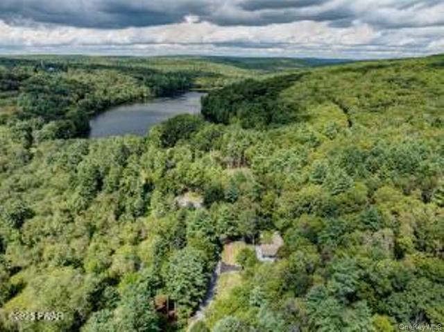 Single Family Chuck Foster Drive Out Of Area, NY 18428, MLS-915979-3