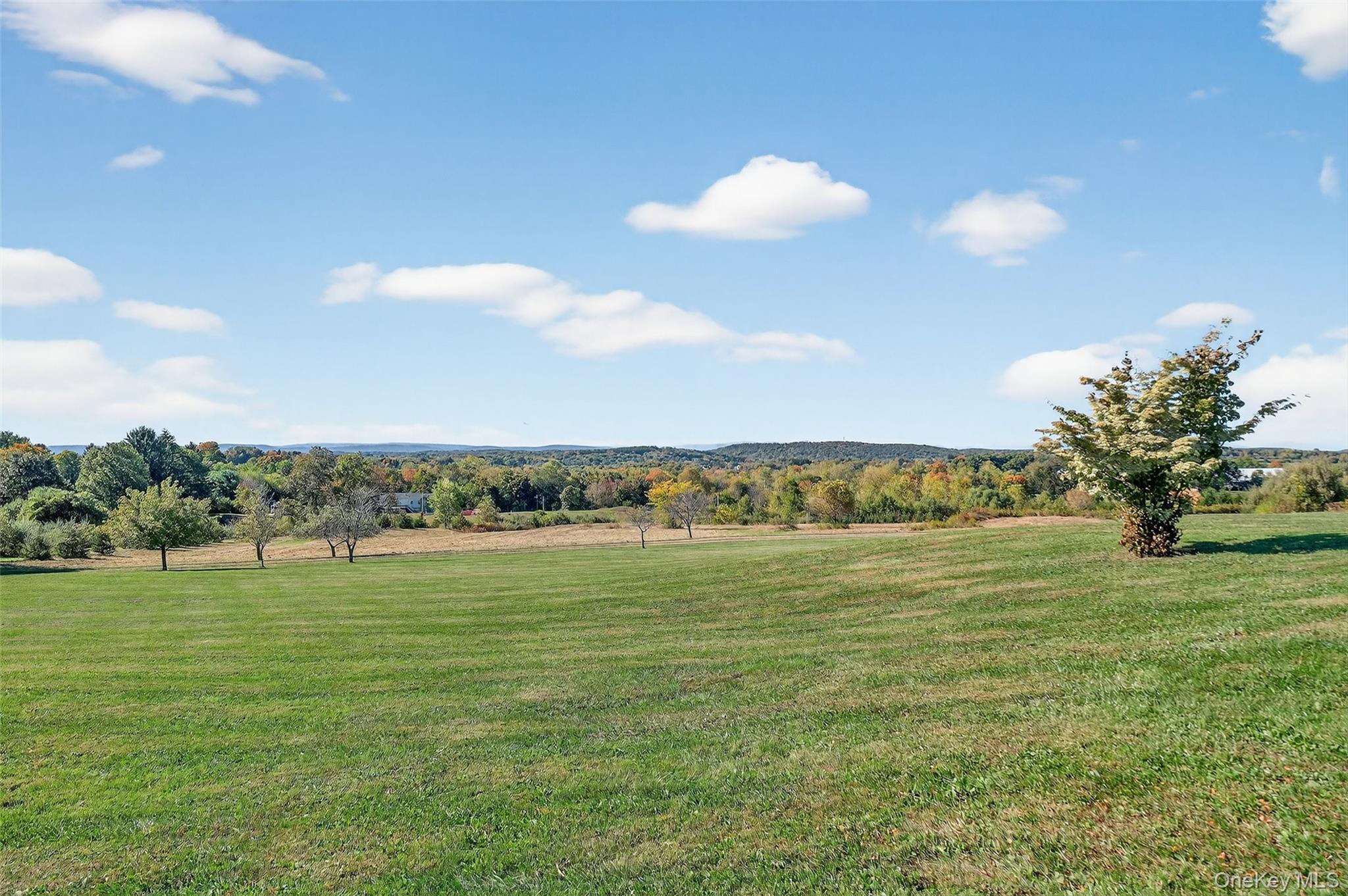 Single Family Bruzgul  Dutchess County, NY 12540, MLS-916015-18