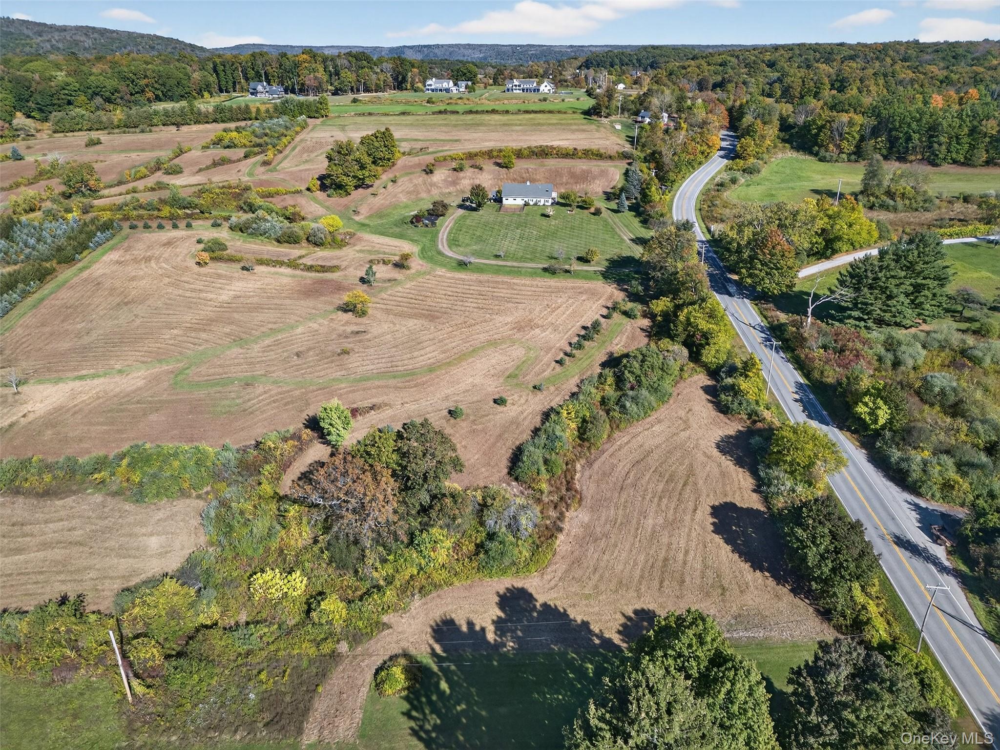 Single Family Bruzgul  Dutchess County, NY 12540, MLS-916015-20