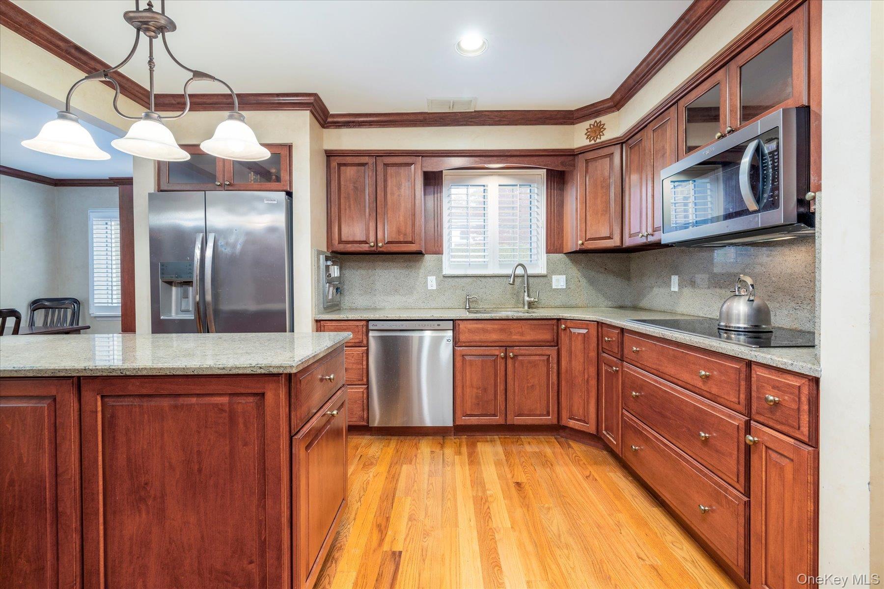 Single Family Atkinson  Nassau County, NY 11570, MLS-916028-18