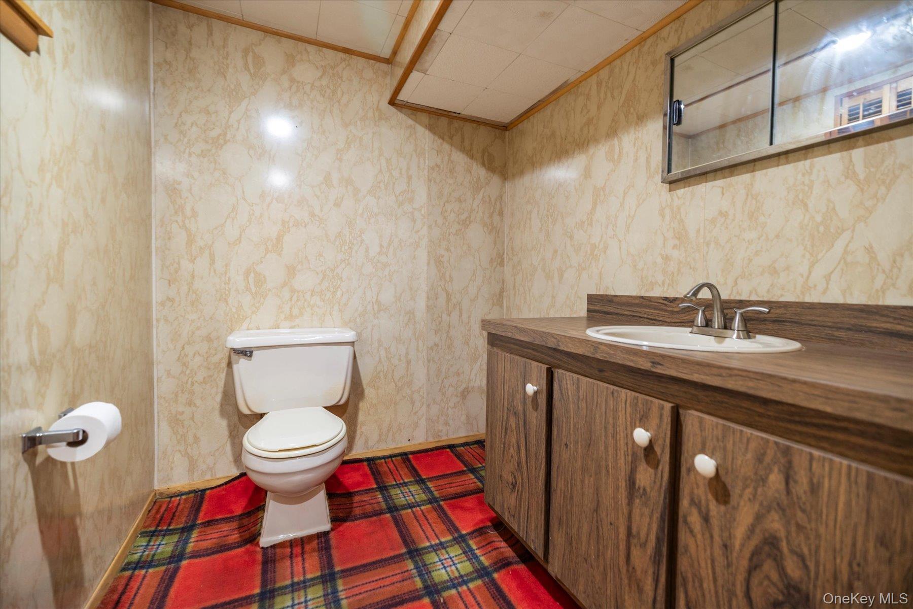 Single Family Atkinson  Nassau County, NY 11570, MLS-916028-39