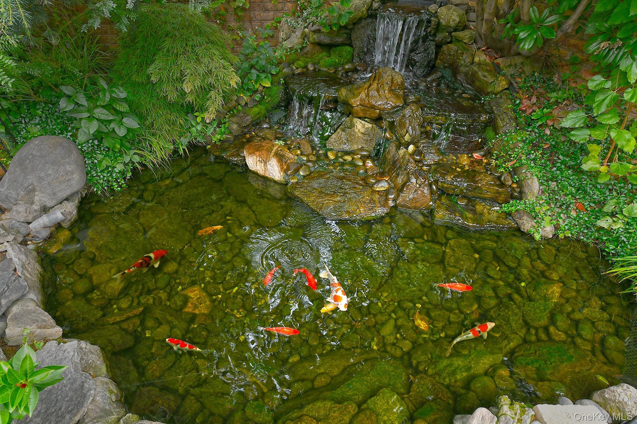 Single Family 158th Queens, NY 11414, MLS-916039-43