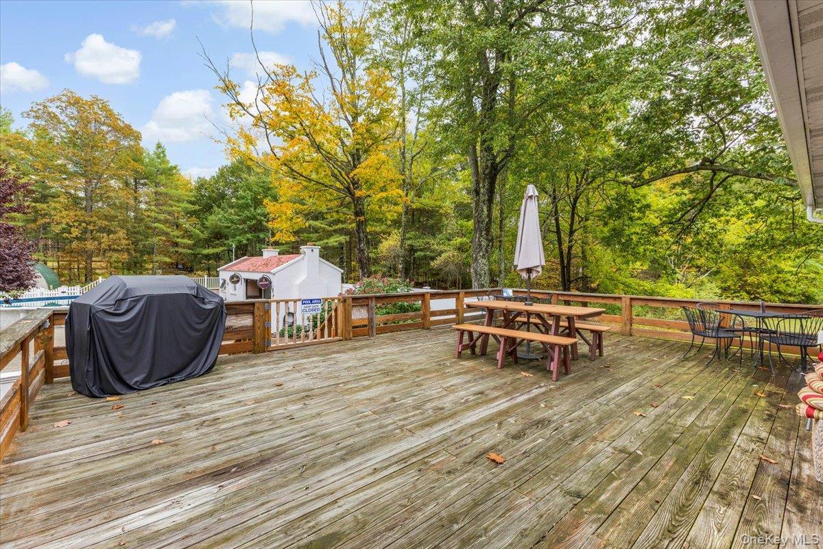 Single Family State Route 81  Greene County, NY 12083, MLS-916055-26