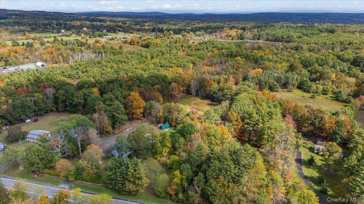 Single Family State Route 81  Greene County, NY 12083, MLS-916055-34