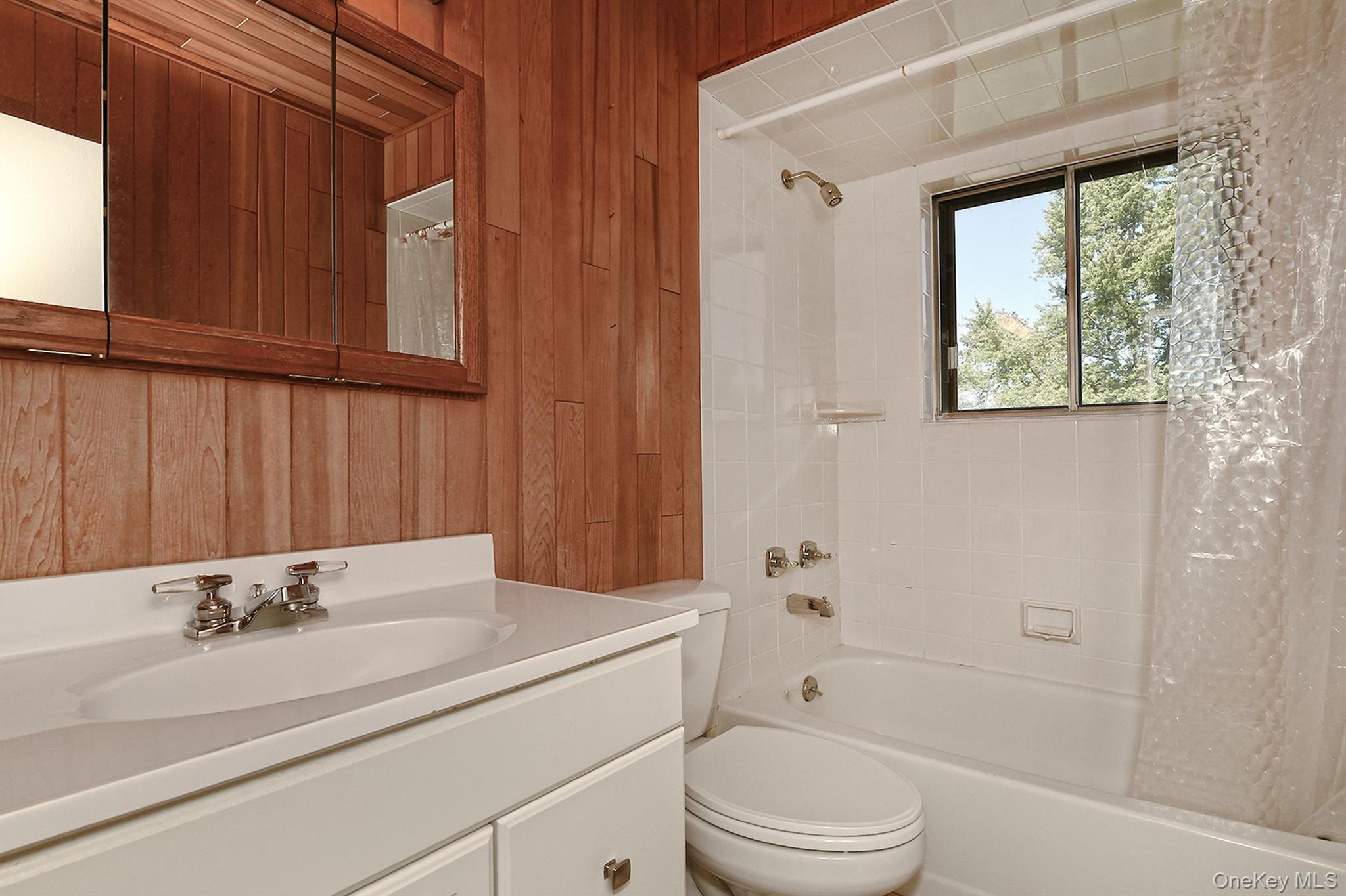 Single Family 3rd  Suffolk County, NY 11731, MLS-916068-9