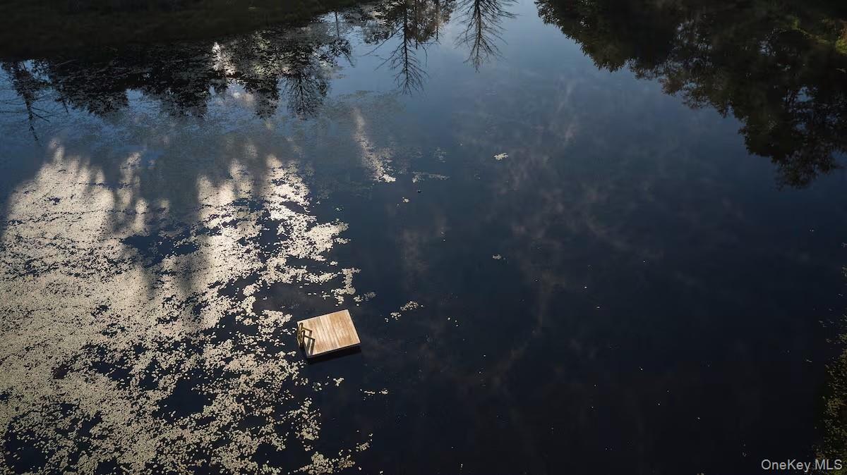 Single Family Church  Sullivan County, NY 12763, MLS-916154-17