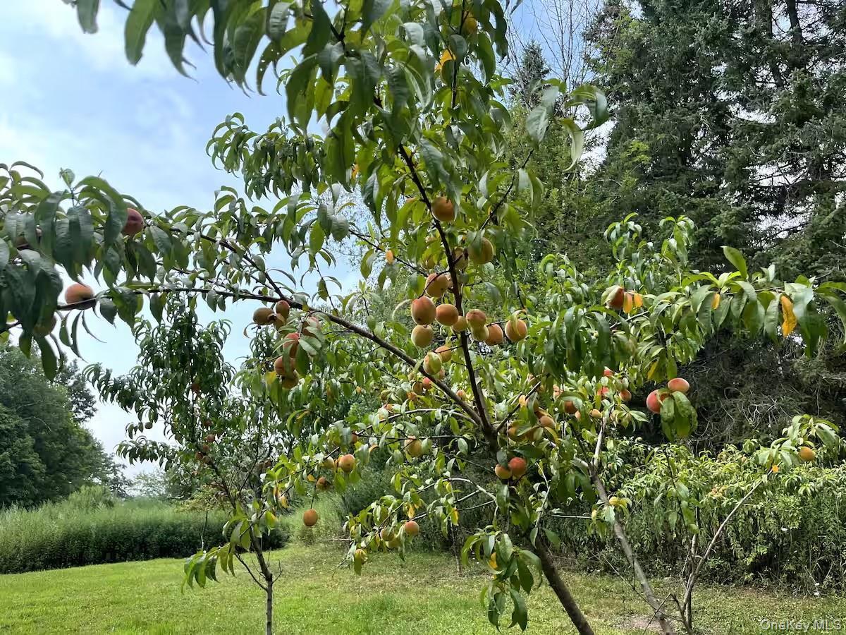 Single Family Church  Sullivan County, NY 12763, MLS-916154-18