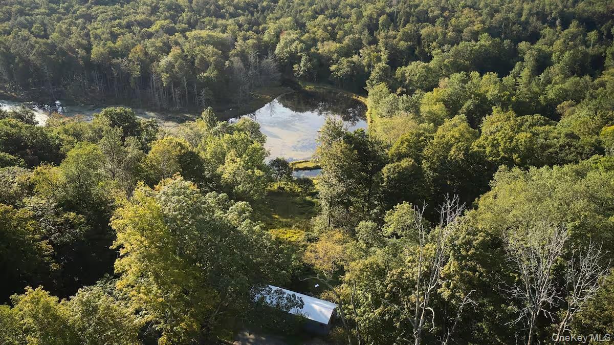 Single Family Church  Sullivan County, NY 12763, MLS-916154-2