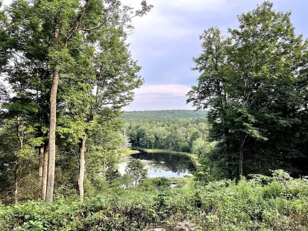 Single Family Church  Sullivan County, NY 12763, MLS-916154-21