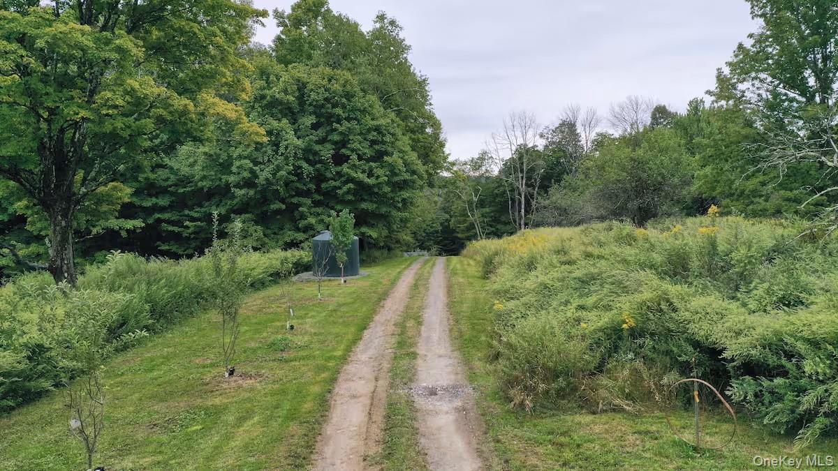 Single Family Church  Sullivan County, NY 12763, MLS-916154-23