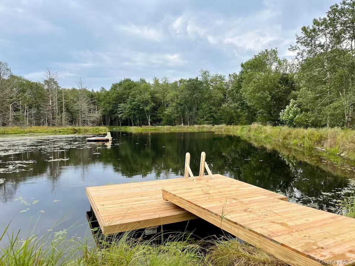 Single Family Church  Sullivan County, NY 12763, MLS-916154-5