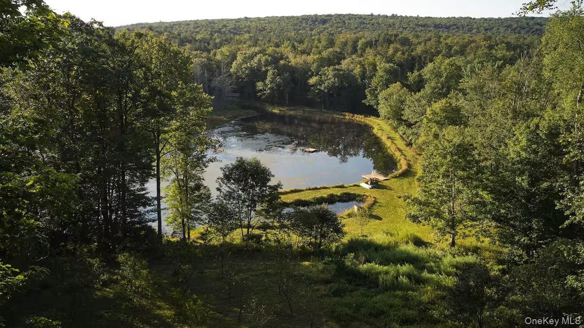 Single Family Church  Sullivan County, NY 12763, MLS-916154-6