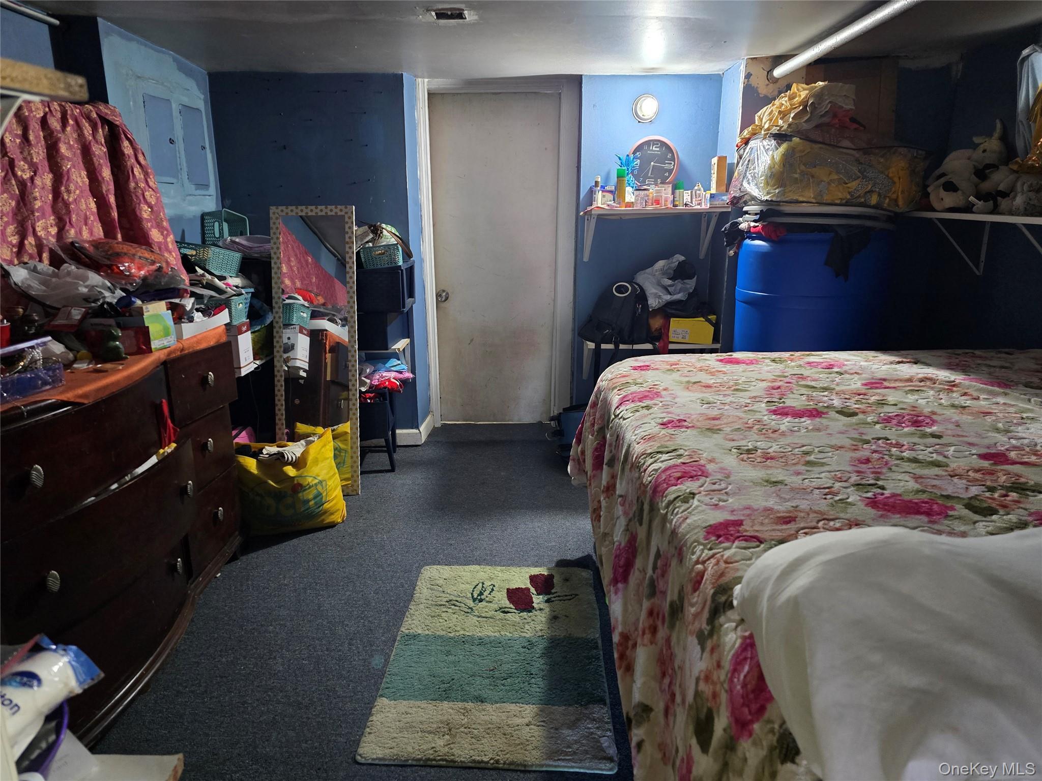 Single Family 134th Queens, NY 11420, MLS-916225-5