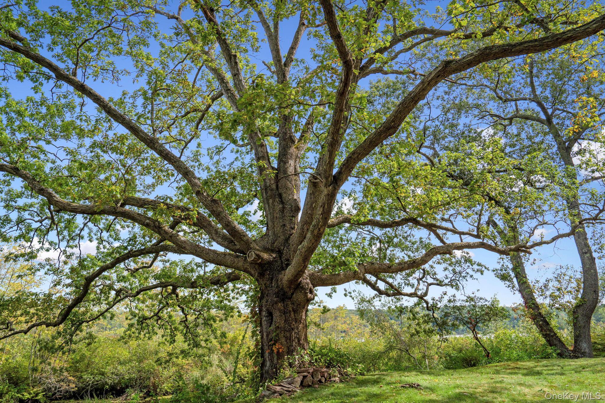 Single Family Cross Pond Westchester County, NY 10576, MLS-916235-34