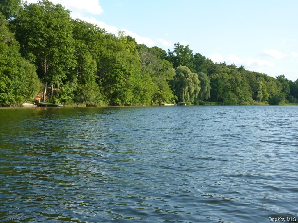 Single Family Cross Pond Westchester County, NY 10576, MLS-916235-38