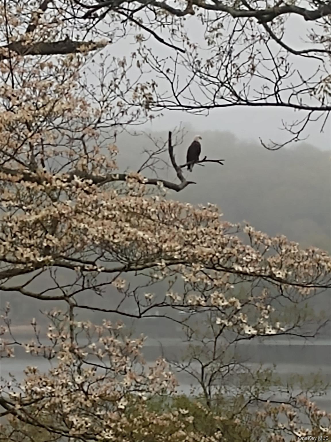 Single Family Cross Pond Westchester County, NY 10576, MLS-916235-42