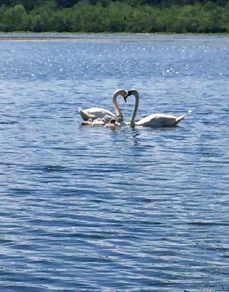 Single Family Cross Pond Westchester County, NY 10576, MLS-916235-43