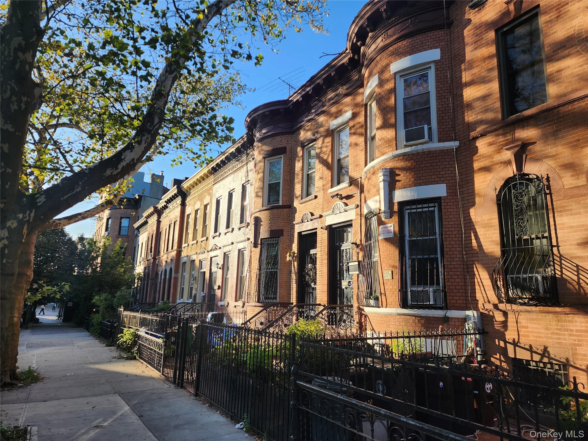 Single Family Saint Johns Brooklyn, NY 11216, MLS-916278-2