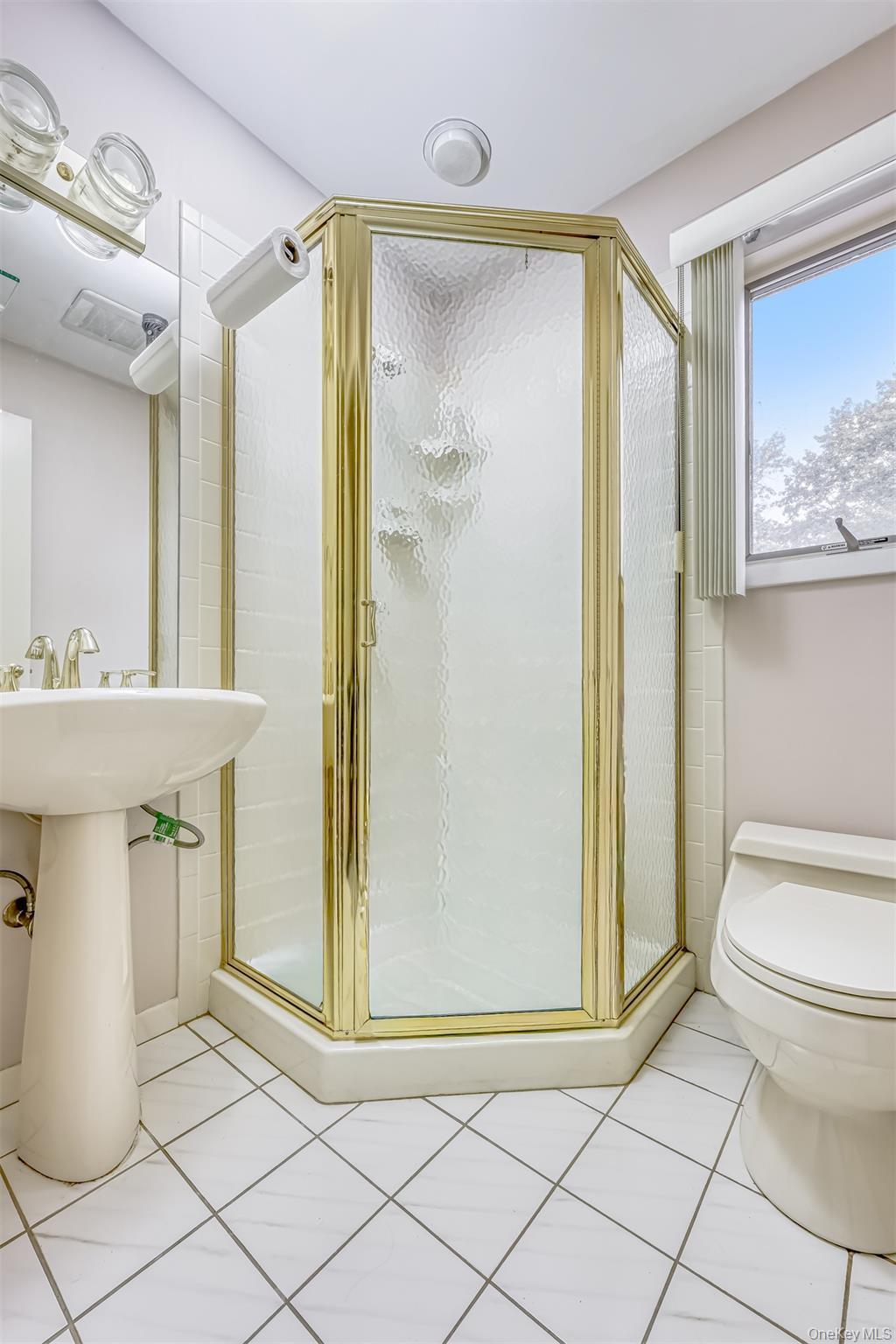 Single Family Debra  Rockland County, NY 10956, MLS-916286-12