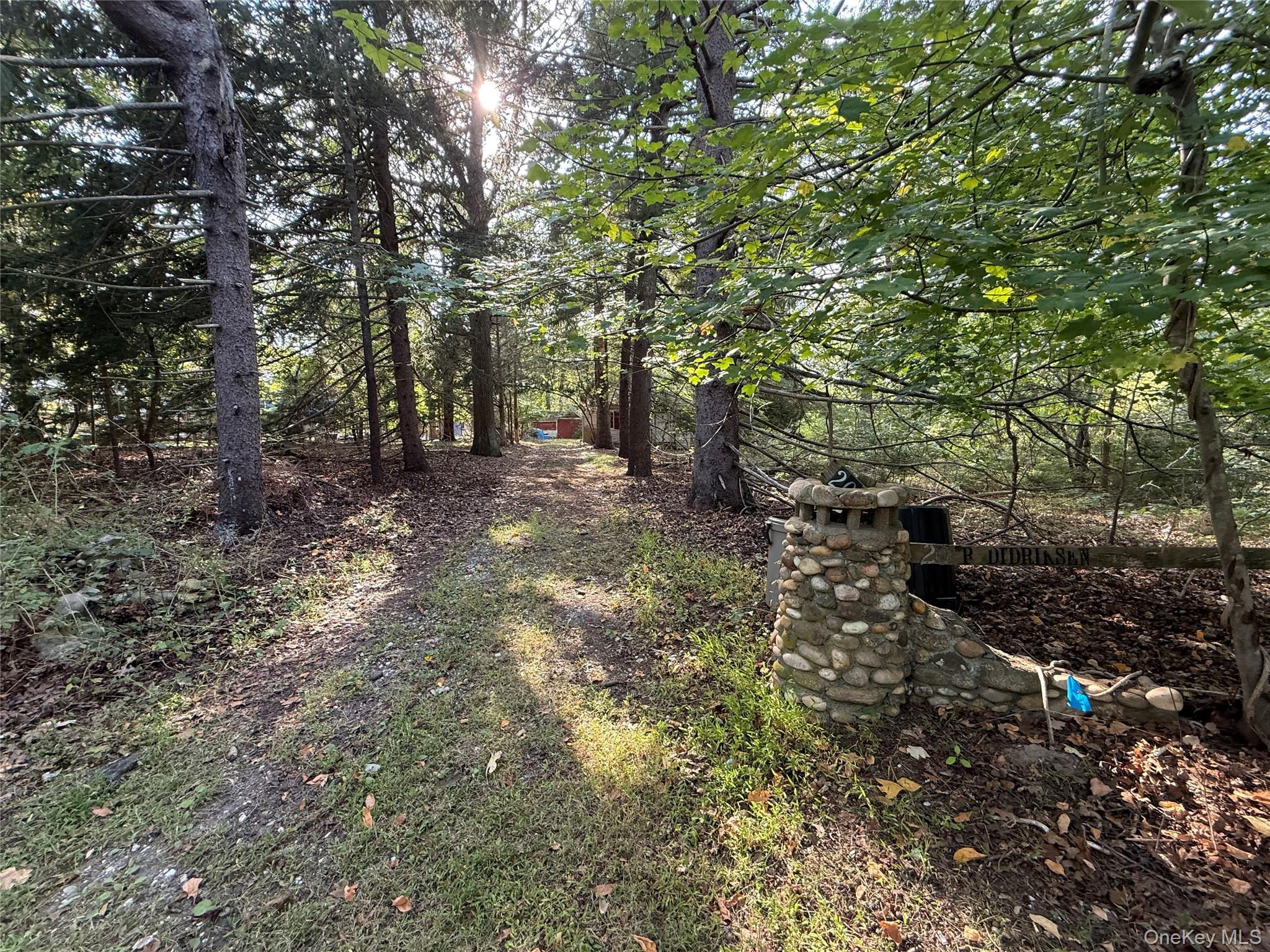 Single Family Primrose Suffolk County, NY 11949, MLS-916297-3