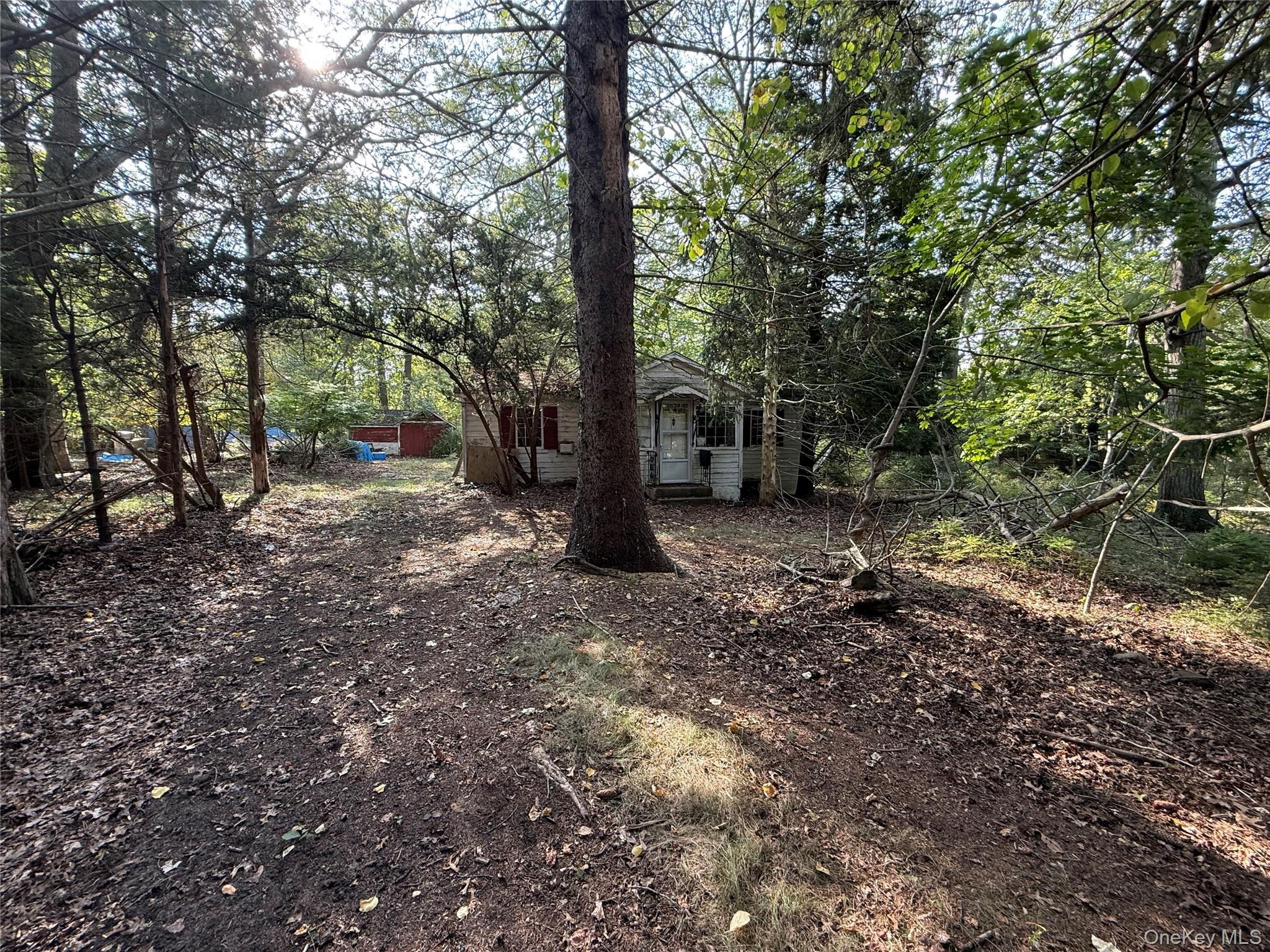 Single Family Primrose Suffolk County, NY 11949, MLS-916297-6