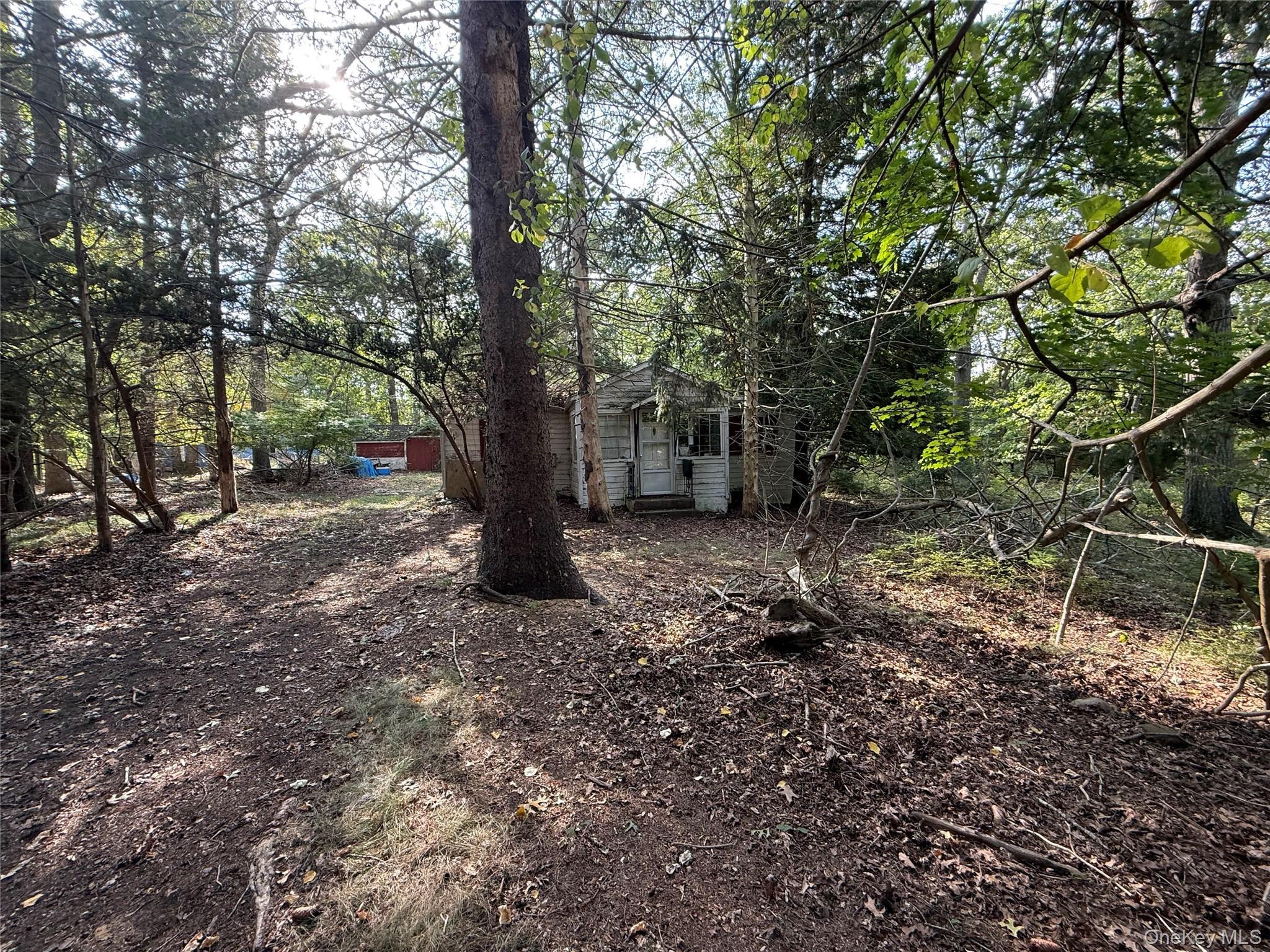 Single Family Primrose Suffolk County, NY 11949, MLS-916297-7