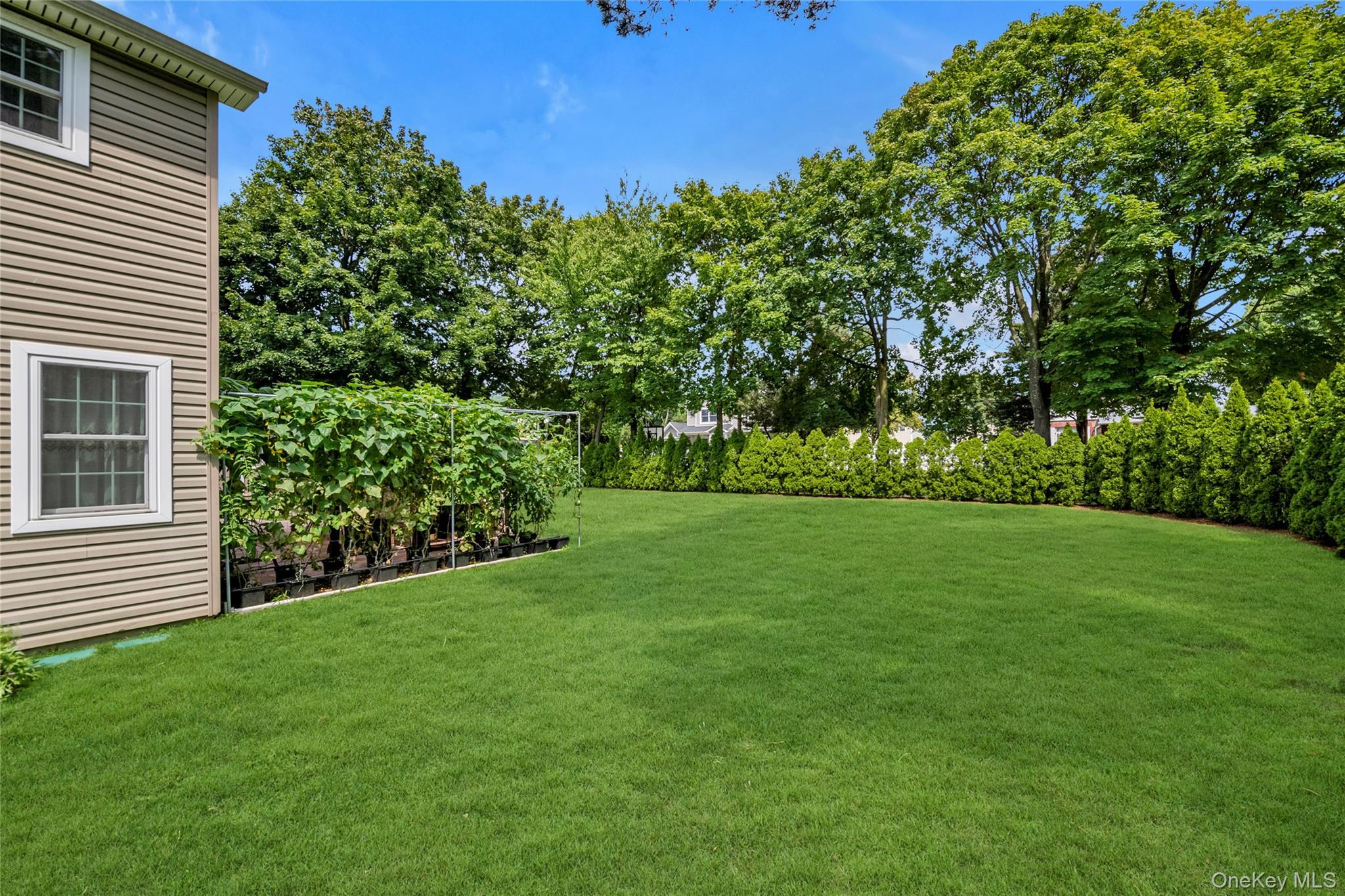 Single Family Field  Nassau County, NY 11801, MLS-916368-28