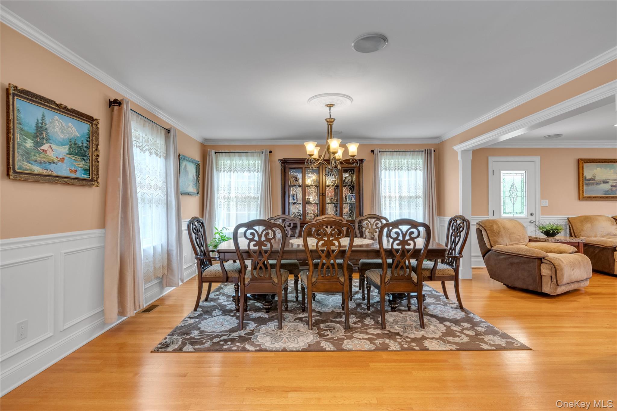 Single Family Field  Nassau County, NY 11801, MLS-916368-6