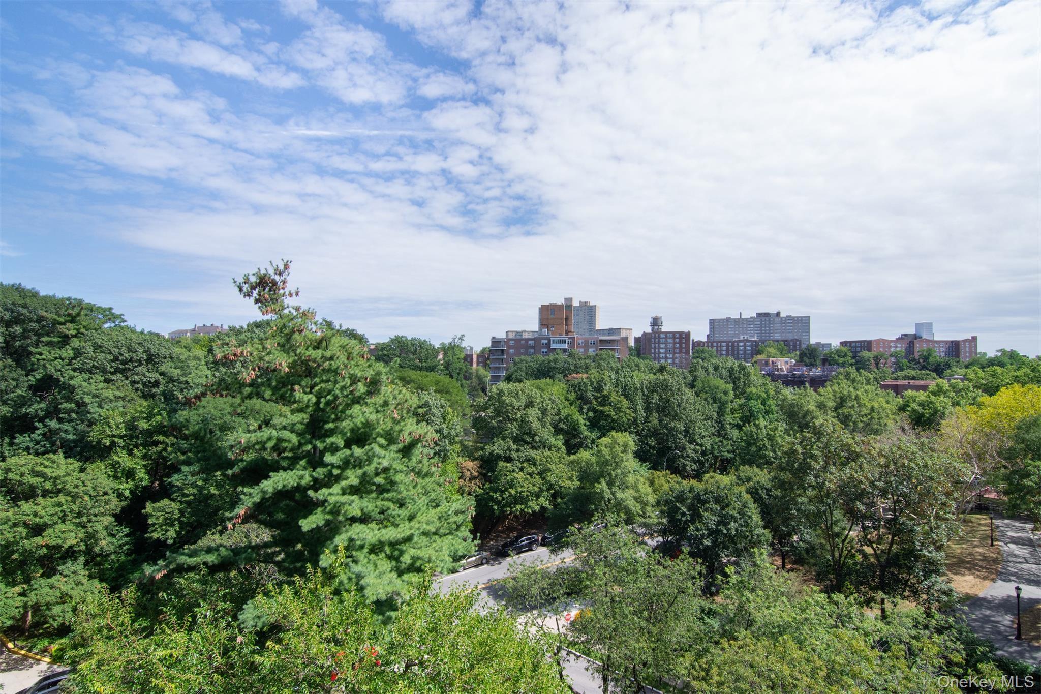 Coop Kappock  Bronx, NY 10463, MLS-916403-22