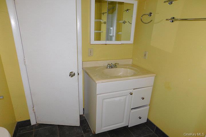 Single Family James Street 02  Ulster County, NY 12472, MLS-916461-19