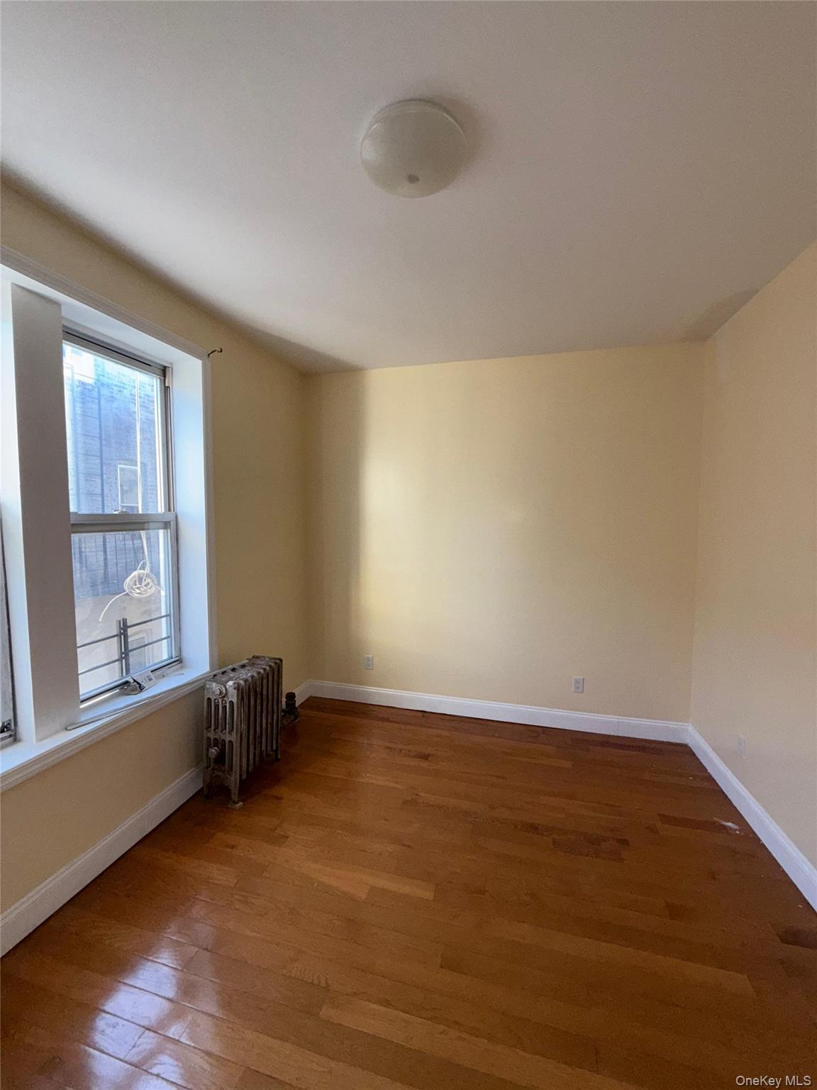 Apartment 52nd  Brooklyn, NY 11203, MLS-916465-4