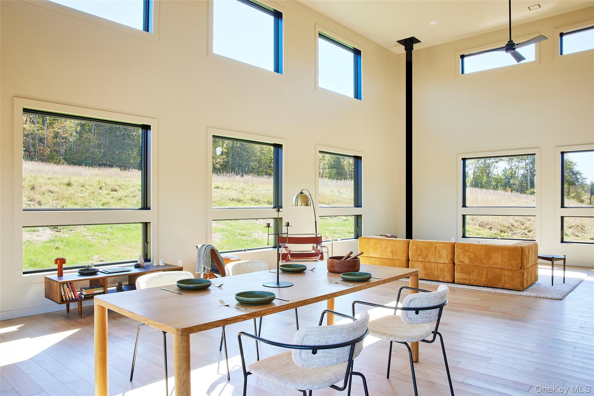 Single Family Buddenhagen  Sullivan County, NY 12723, MLS-916467-4