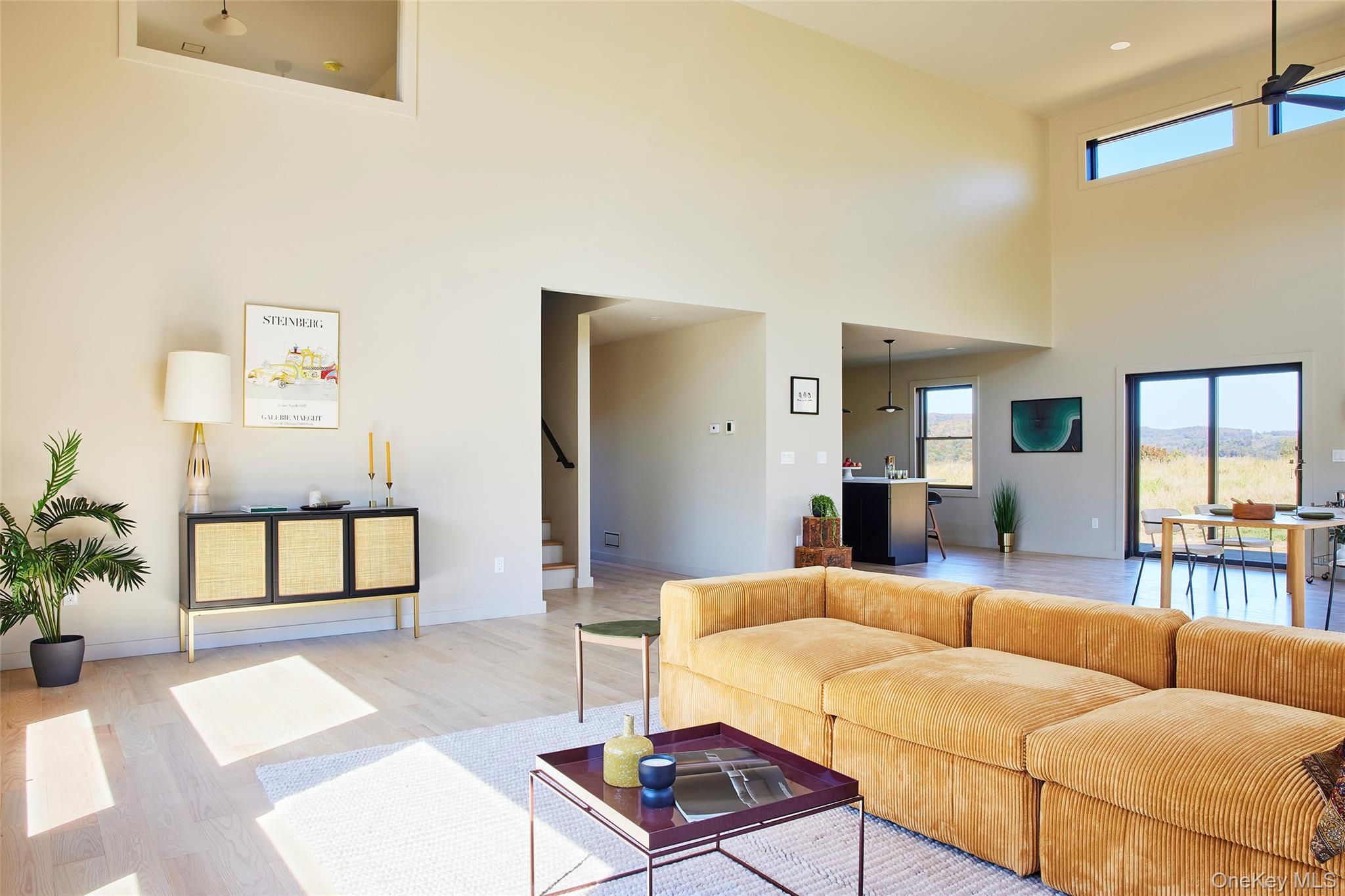 Single Family Buddenhagen  Sullivan County, NY 12723, MLS-916467-9