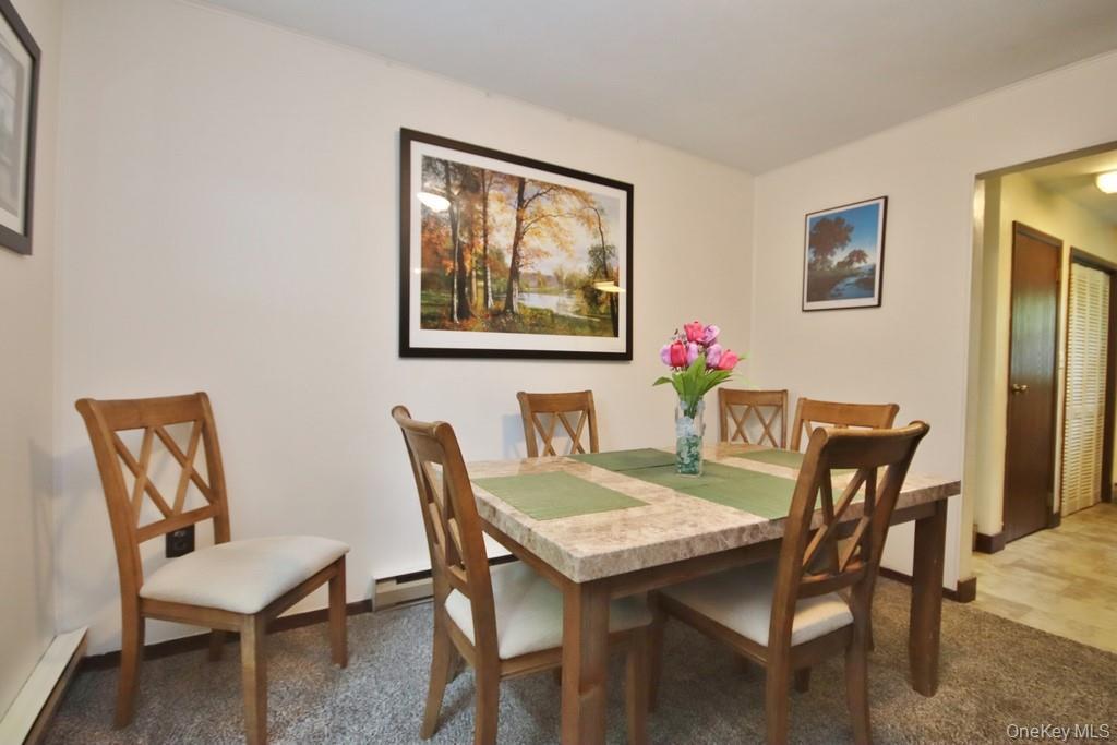 Single Family Drake  Sullivan County, NY 12775, MLS-916487-24